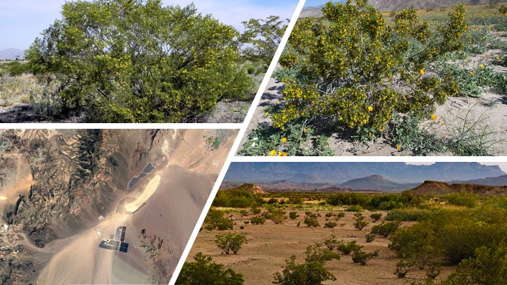 Desert landscape near Boulder City, Nevada